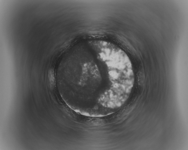 X0000111831298200909031505