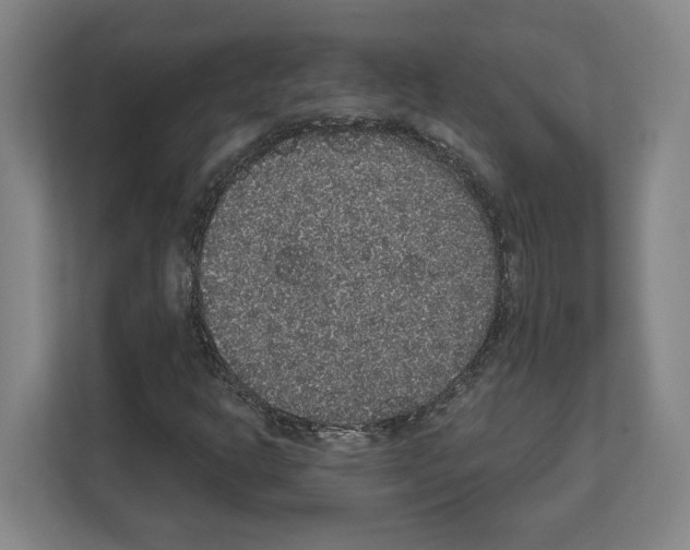 X0000111831302200909031505