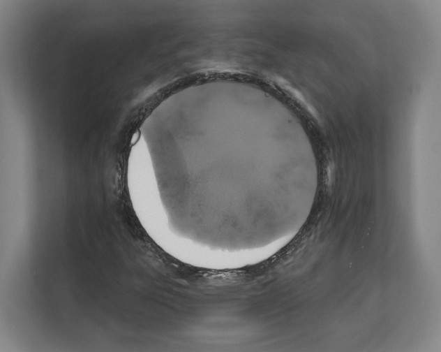 X0000111831303200909031505