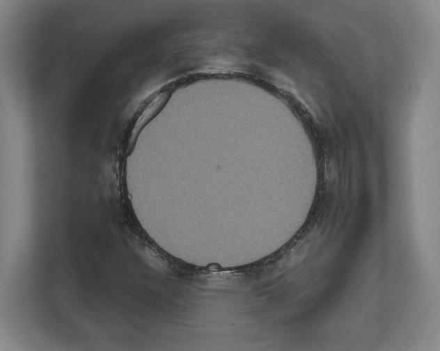 X0000111831304200909031505