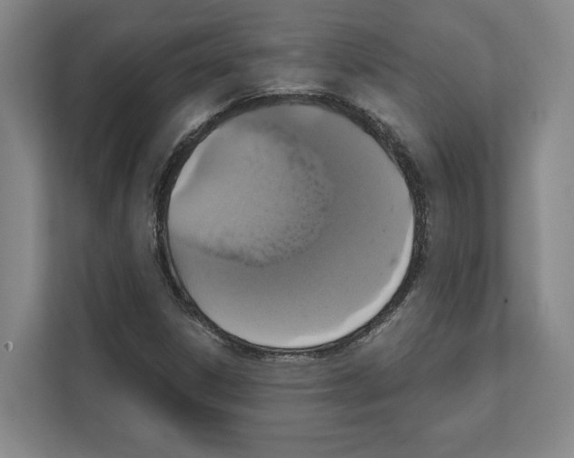 X0000111831306200909031505