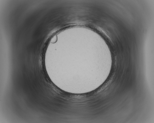 X0000111831307200909031505