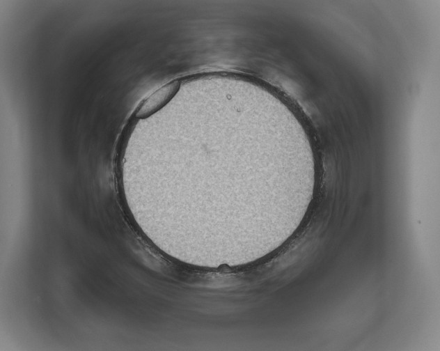 X0000111831308200909031505