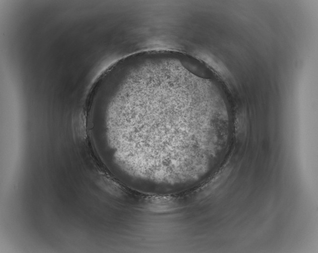 X0000111831310200909031505