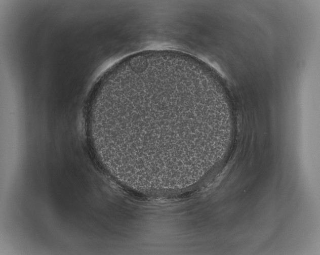 X0000111831311200909031505