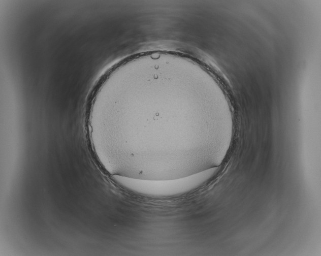 X0000111831312200909031505