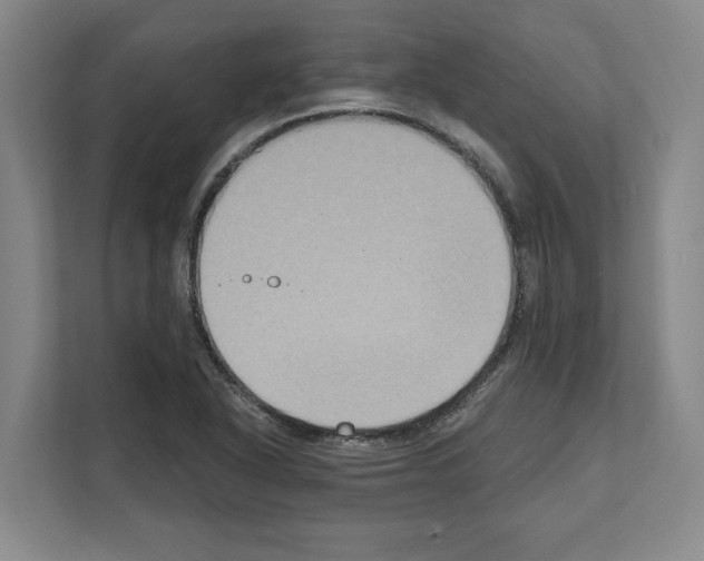 X0000111831318200909031505