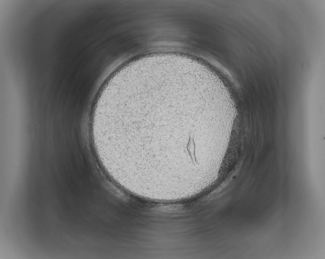 X0000111831325200909031505