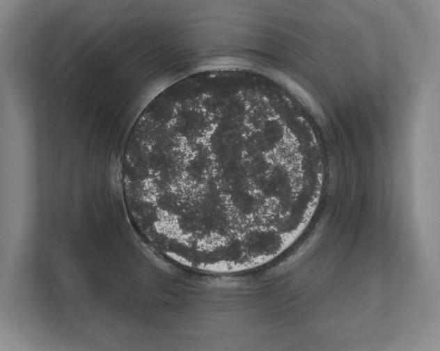 X0000111831329200909031505
