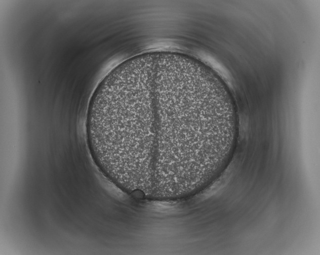 X0000111831330200909031506