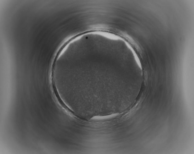 X0000111831331200909031506