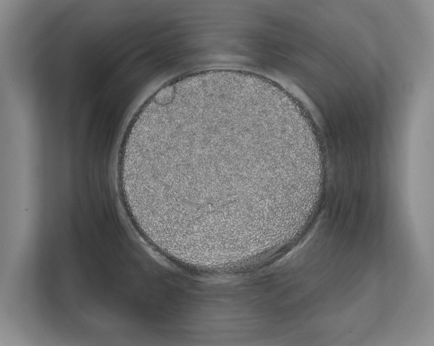 X0000111831333200909031506