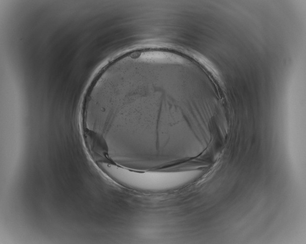 X0000111831334200909031506
