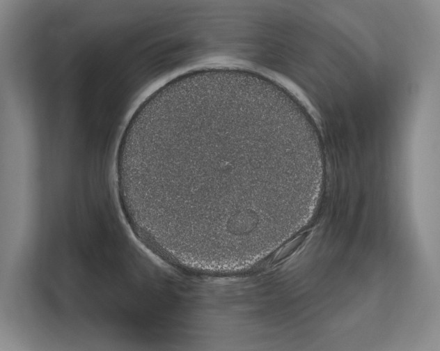 X0000111831335200909031506