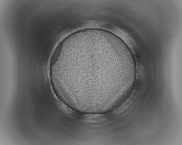 X0000111831342200909031506