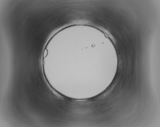 X0000111831343200909031506
