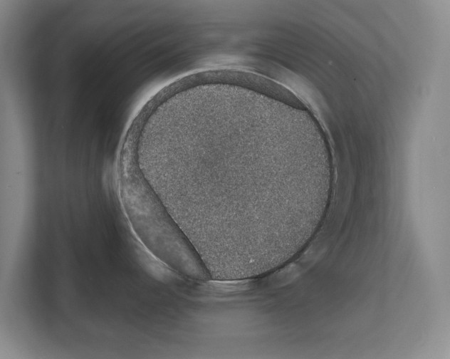 X0000111831344200909031506