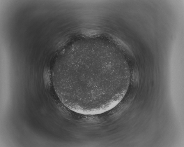 X0000111831346200909031505