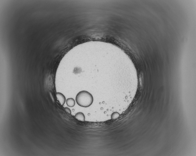 X0000111831347200909031505