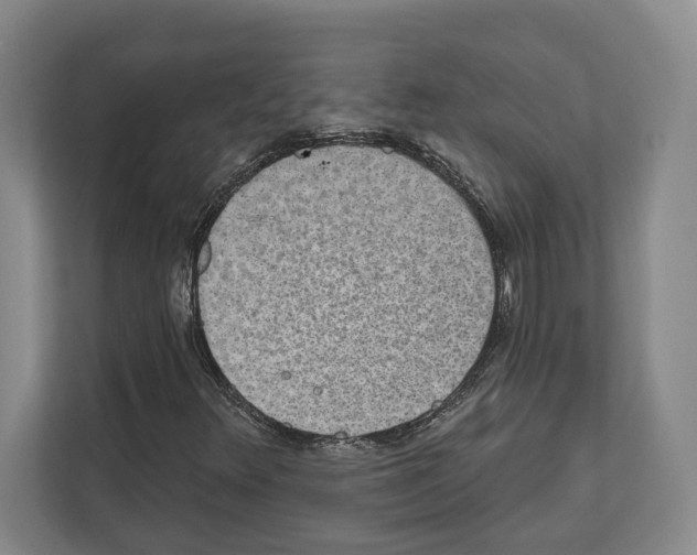 X0000111831348200909031505