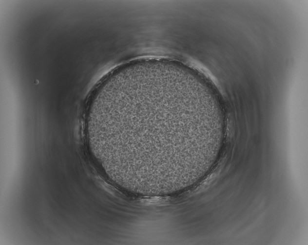 X0000111831352200909031505