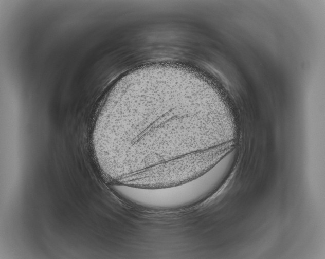 X0000111831353200909031505