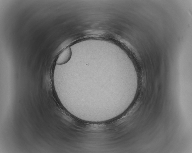 X0000111831354200909031505
