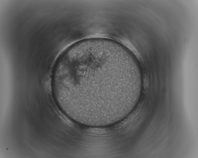 X0000111831356200909031505