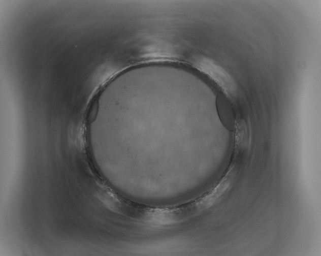 X0000111831357200909031505