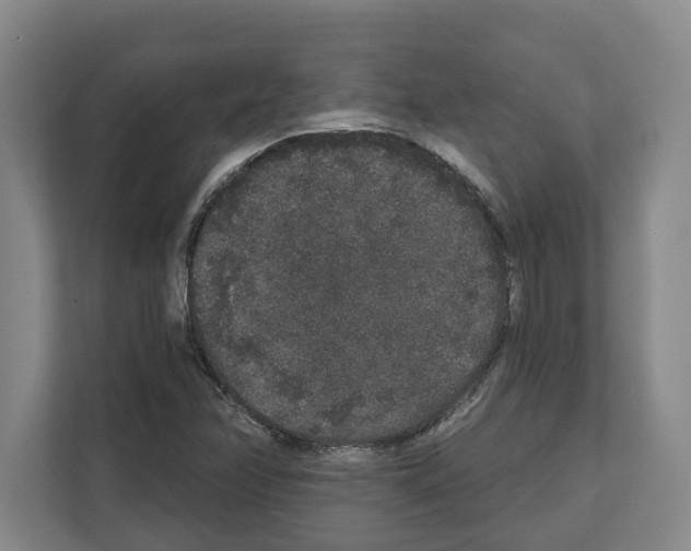 X0000111831358200909031505