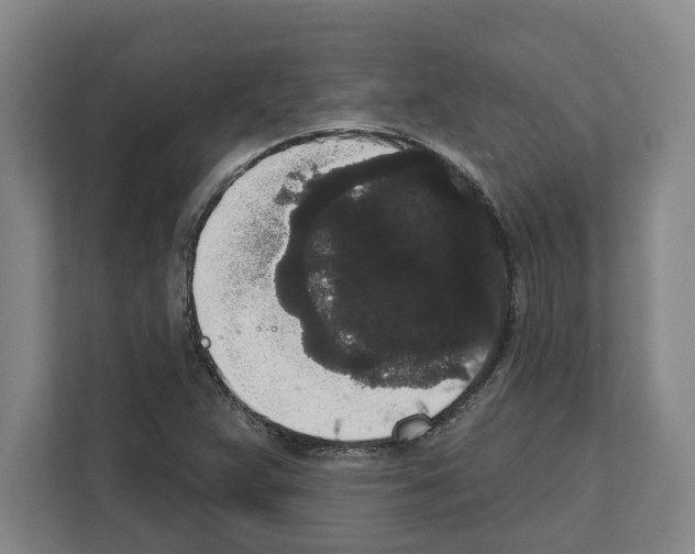 X0000111831359200909031505