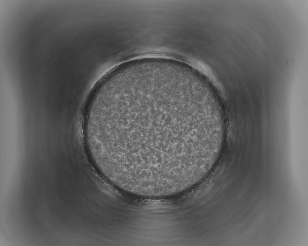X0000111831360200909031505