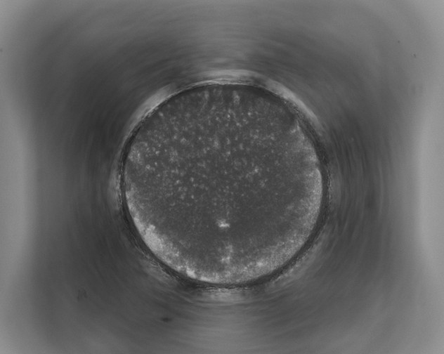 X0000111831362200909031505