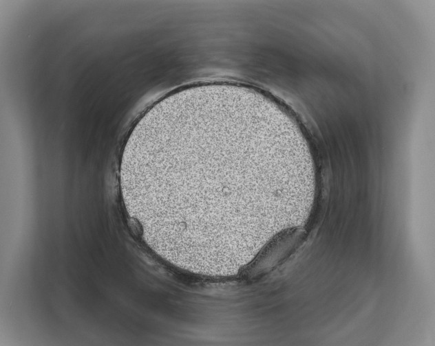 X0000111831363200909031505
