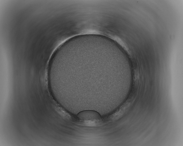 X0000111831364200909031505