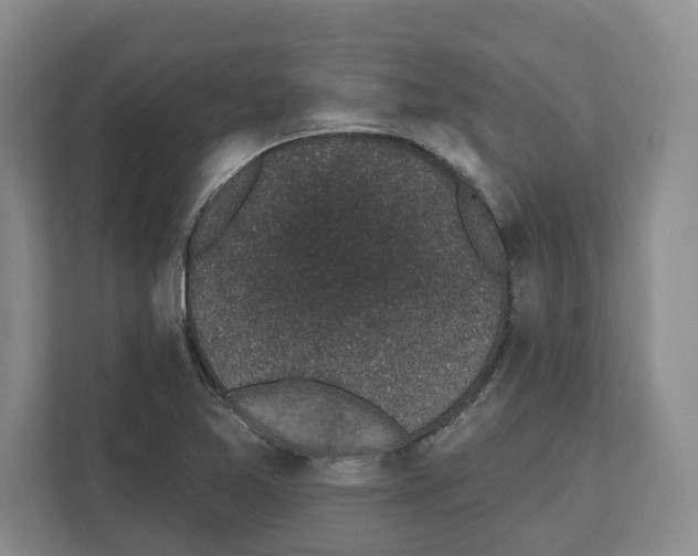X0000111831365200909031505