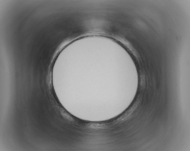 X0000111831366200909031505