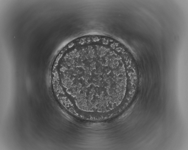 X0000111831367200909031505