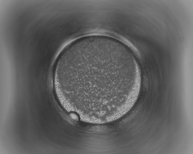 X0000111831368200909031505
