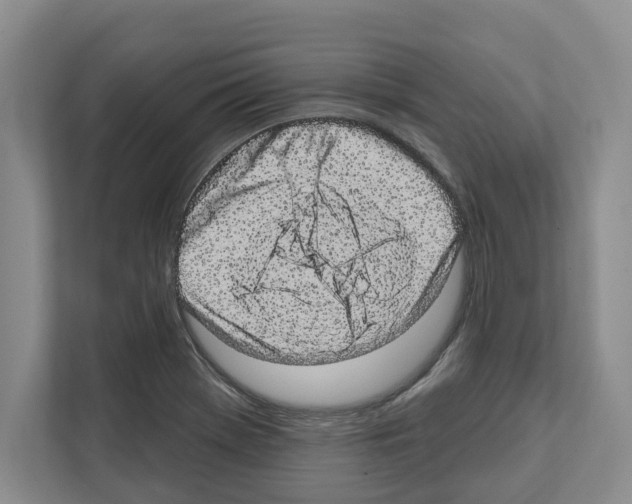 X0000111831369200909031505