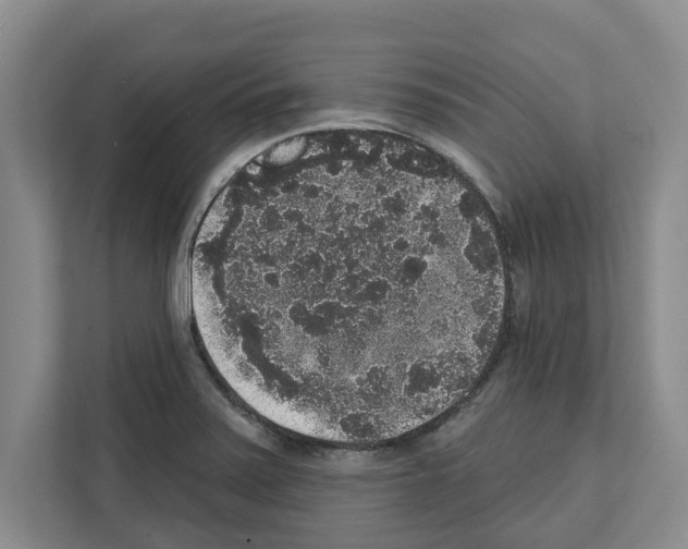 X0000111831371200909031505