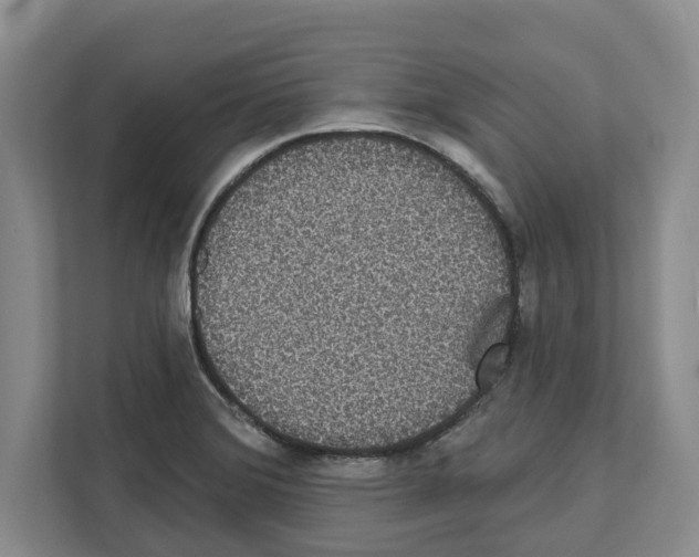 X0000111831372200909031505