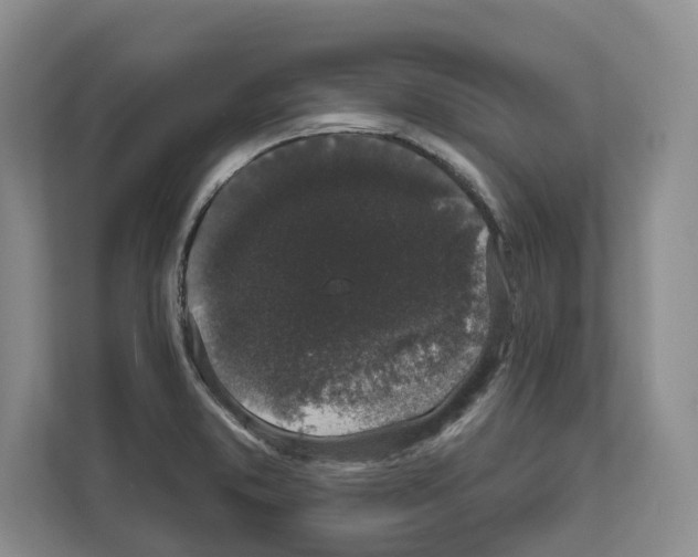 X0000111831373200909031505