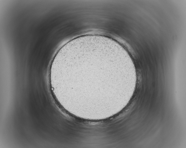 X0000111831375200909031505