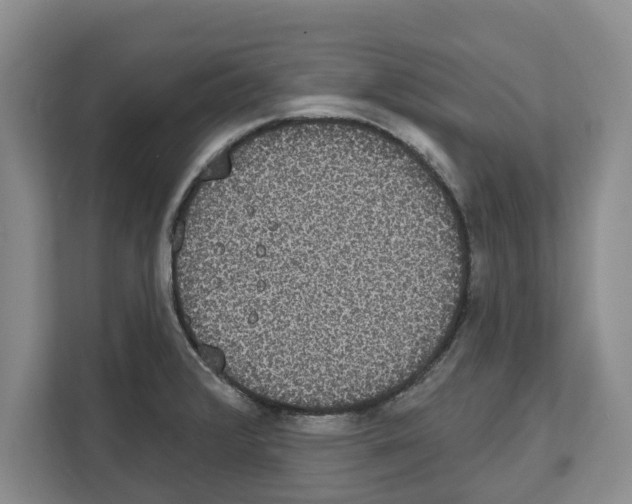 X0000111831376200909031505