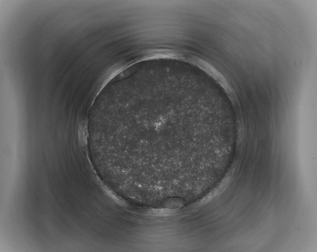 X0000111831377200909031505