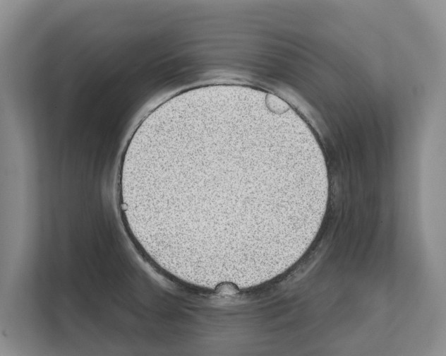 X0000111831379200909031505