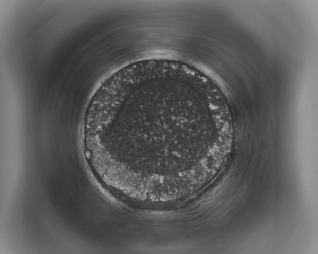 X0000111831383200909031505