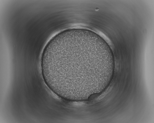 X0000111831384200909031505