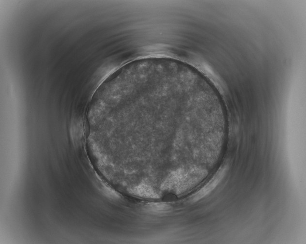 X0000111831385200909031505